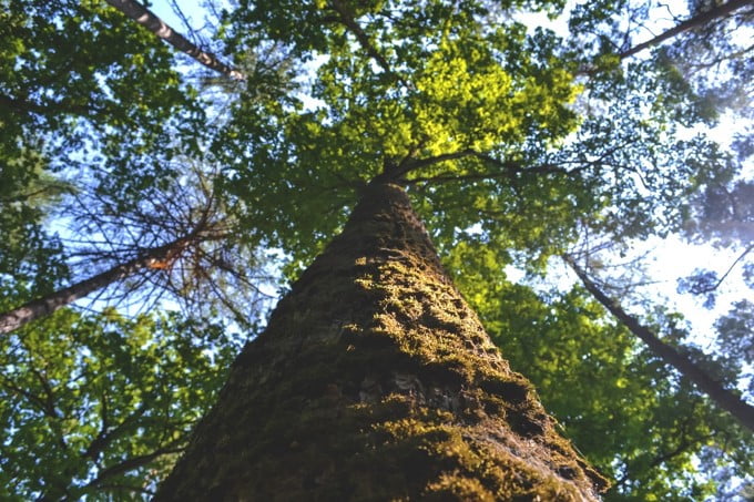 Respect de l'environnement, recyclé recyclable ecofeutre