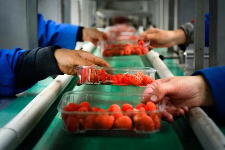 La sécurité alimentaire : enjeux et réglementations