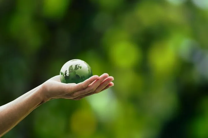 Comprendre la cellulose moulée : une solution durable et sécuritaire